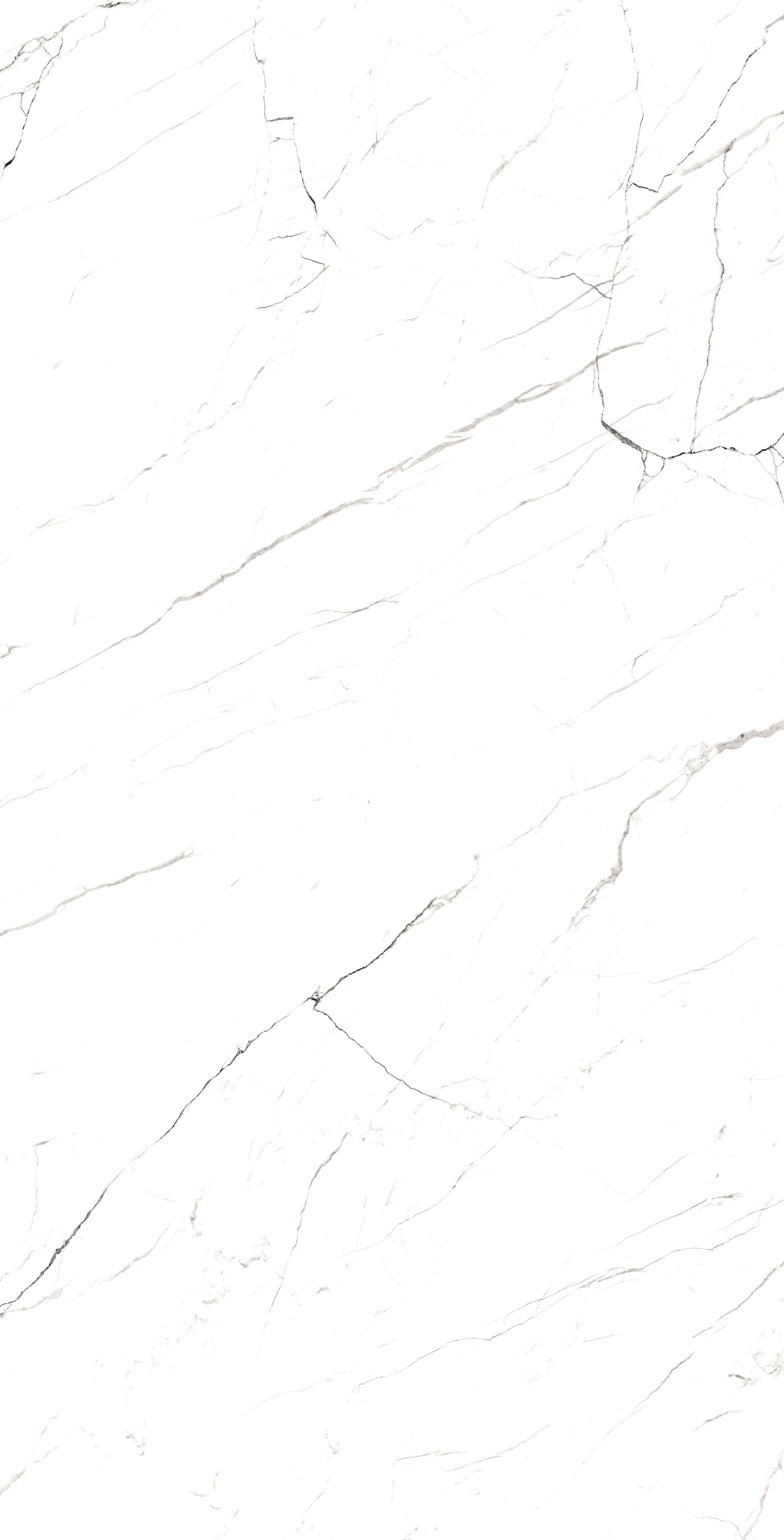 COSMOS WHITE