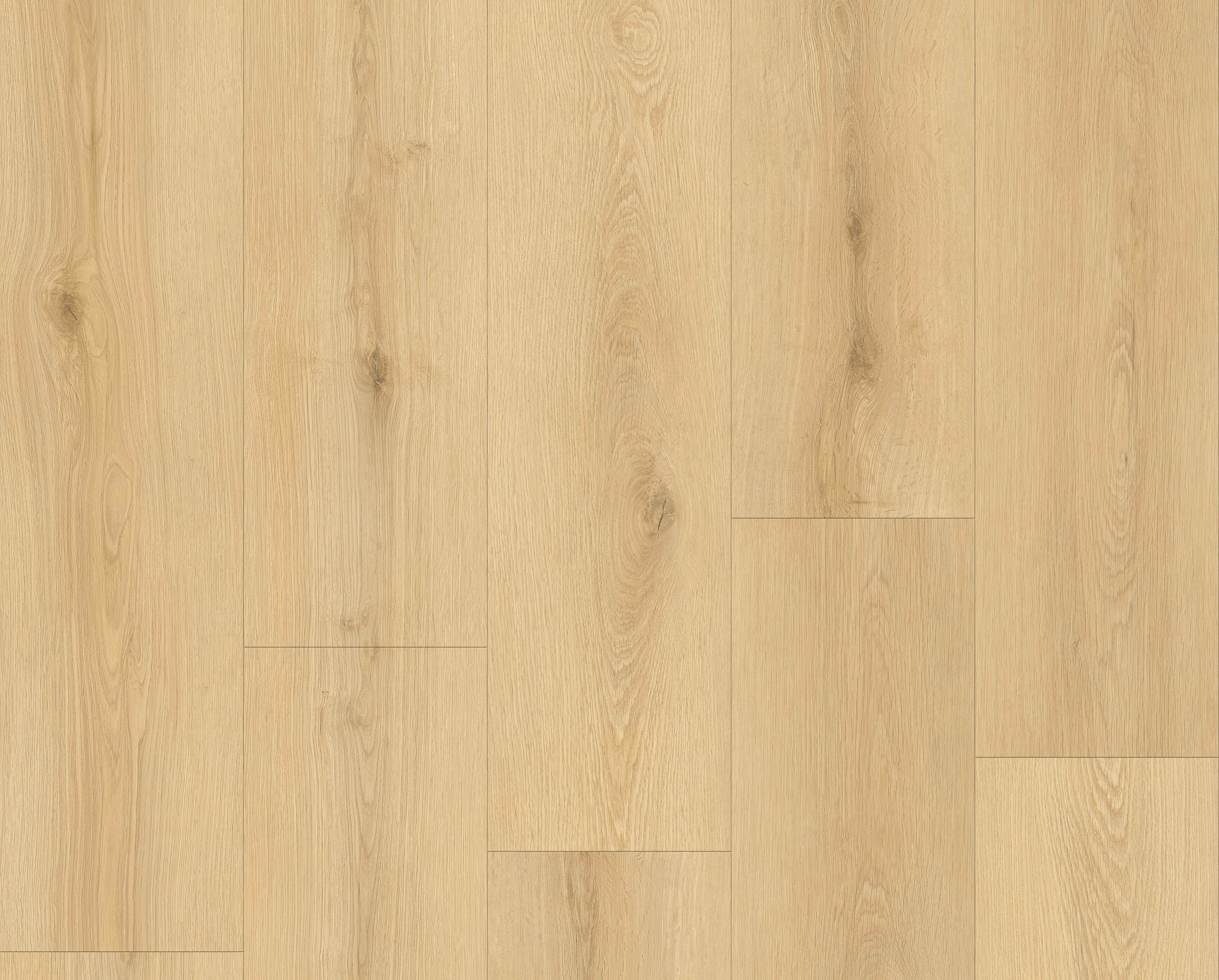 Aura Oak